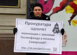 В Петербурге состоялась серия одиночных пикетов в защиту Сиверского леса