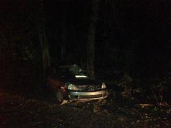 В Сиверском погиб водитель автомобиля (врезался в дерево)