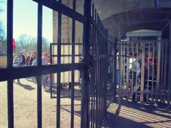 Жителей приглашают на митинг за свободный доступ в Дворцовый парк