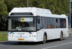 Жители Гатчины возмущены новыми автобусами № 100