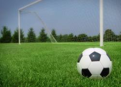 В Гатчине построят профессиональный футбольный  стадион