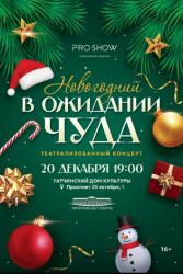 <b> 20 декабря </b> новогодний театрализованный концерт 