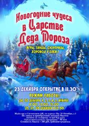 <b> 25, 27 и 28 декабря </b > Праздничная программа «Новогодние чудеса в Царстве Деда Мороза»