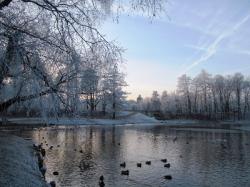 Отдыхаем с Gatchina24.ru: 22 и 23 ноября