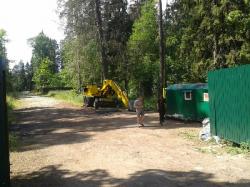 Защитники Сиверского леса объявили о начале эковахты