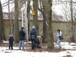В парке развесят птичьи домики