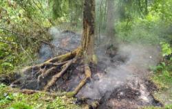 На борьбу с пожаром в Зверинце ушло полторы тонны воды