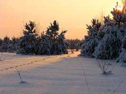 Отдыхаем с Gatchina24.ru: 15 и 16 февраля