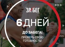 Крупнейший полумарафон «ЗаБег.РФ»: 30 мая в Гатчине!