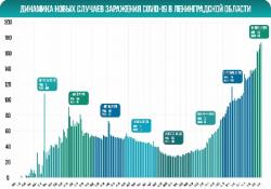 COVID-19: Гатчина и район, 8 ноября