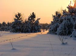 Отдыхаем с Gatchina24.ru: 1 и 2 февраля