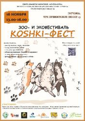 Экофестиваль KOSHKI-ФЕСТ вновь в Гатчине!