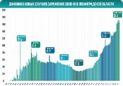 COVID-19: Гатчина и район, 10 ноября