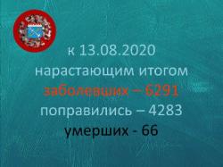 COVID-19: Гатчина и район, 13 августа
