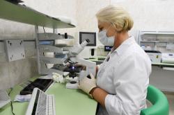 Медицина региона справляется с COVID-19