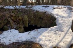 При дендрологических исследованиях в Тайцах обнаружен исторический мост