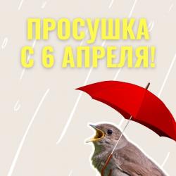 Гатчинский парк будет закрыт на весеннюю просушку завтра - 6 апреля