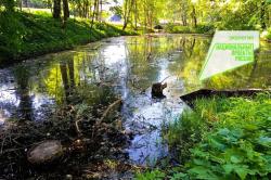 Второй этап расчистки водоемов Гатчины: старт в середине августа