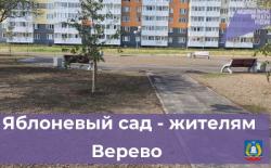 Яблоневый сад – жителям Верево