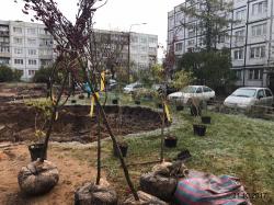 Жители Гатчины дружно вышли на посадку деревьев!