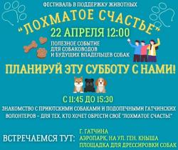 В Гатчине состоится фестиваль 