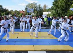 Гатчина готовится к Ярмарке спорта!