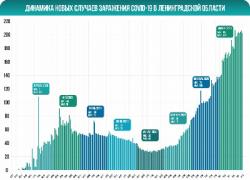 COVID-19: Гатчина и район, 26 ноября