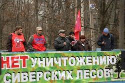 Активисты просят пресечь беззакония, происходящие в Сиверском