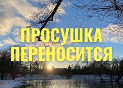Просушка Дворцового парка переносится