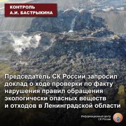 Бастрыкин запросил доклад о ходе проверки полигона под Гатчиной