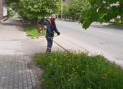 На уборку и окашивание газонов направлено 99 человек