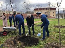 Аллея прокуратуры появилась в Гатчине