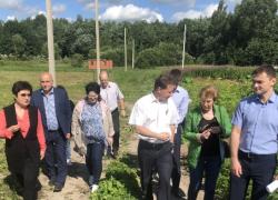 Больше тысячи земельных участков получили многодетные семьи в Гатчинском районе