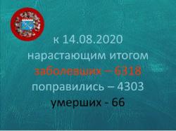 COVID-19: Гатчина и район, 14 августа