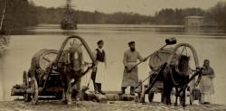 Гатчинцам покажут как выглядела императорская резиденция почти 140 лет назад