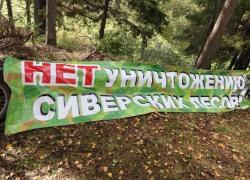 Сиверский лес защищает прокуратура Ленобласти