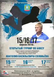 Открытый турнир Гатчинского района по боксу