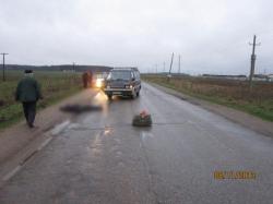 В Гатчинском районе вновь погиб пешеход