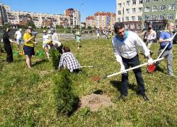 У поликлиники «Аэродром» появилась памятная аллея