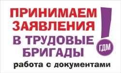 Дворец молодежи начинает прием документов в трудовые бригады