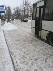 Гатчинский район против снега и льда