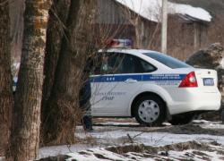 Гатчина станет пешеходной: 20 ноября