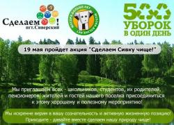 Сделаем Сивку чище!