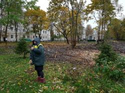 Работы по благоустройству ведутся на четырех дворовых территориях