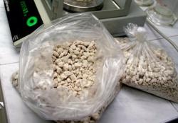 Семейная пара из Гатчины задержана за продажу наркотиков