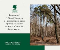 В Приоратском парке временно закроют проход по мосту от улицы Киевской