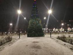 Новогодние украшения в Гатчине пострадали от рук вандалов