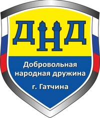 Народная дружина задержала парней с наркотиками