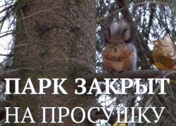 Гатчинский парк закрывается на просушку с 27 марта