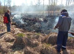 Пожар в парке «Зверинец» ликвидирован